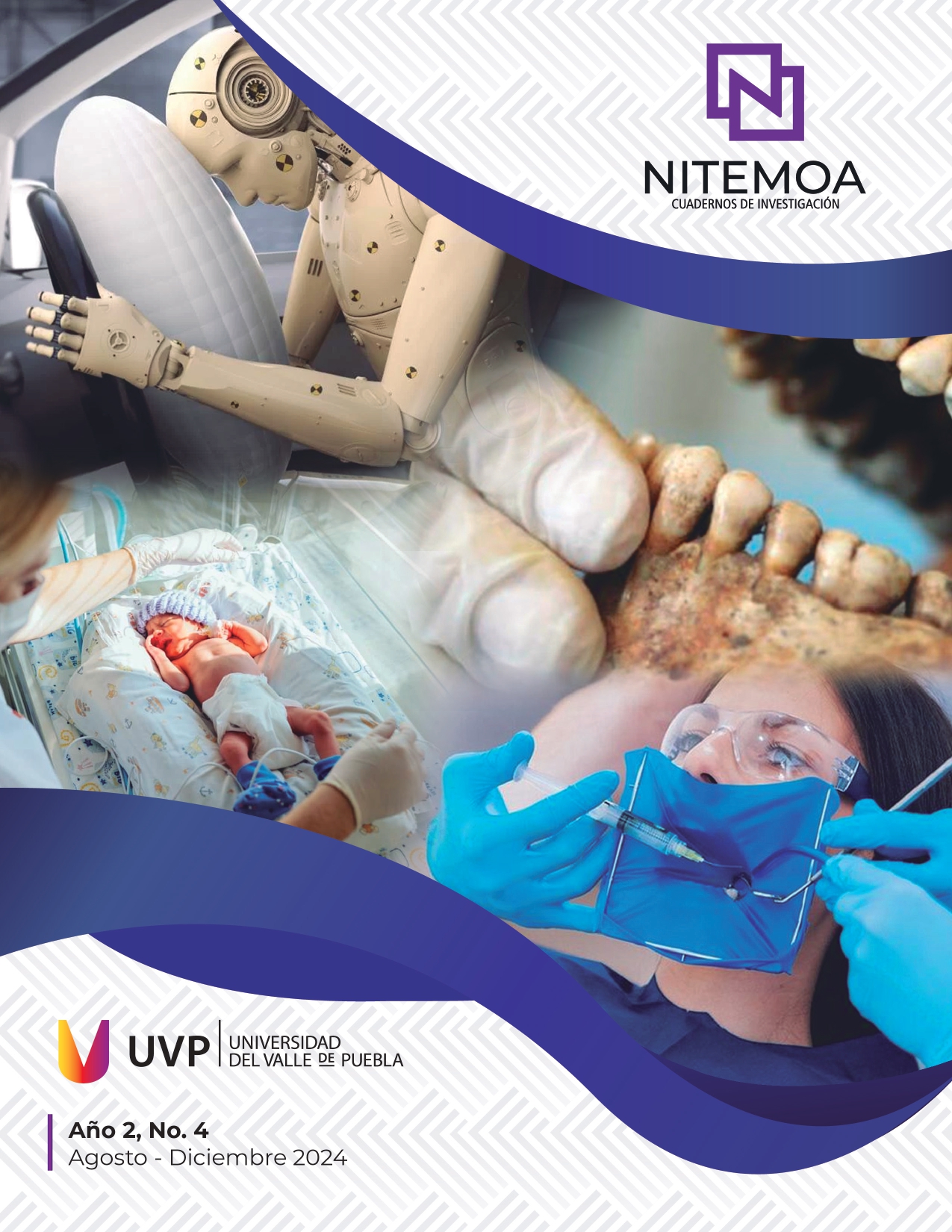 Ver Núm. 4 (2): Nitemoa Cuadernos de Investigación Agosto - Diciembre 2024