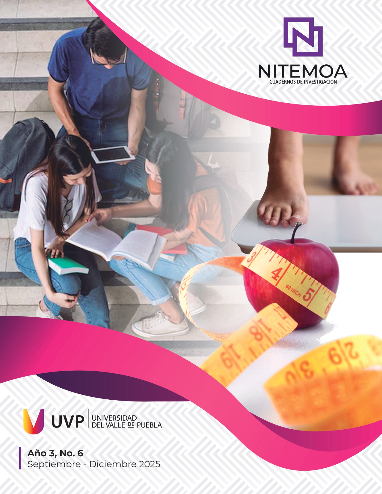 					Ver Núm. 6 (3): Nitemoa Cuadernos de Investigación julio - diciembre 2025
				